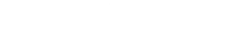 Lcstns-logowhte