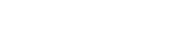 Logo_Meztizo
